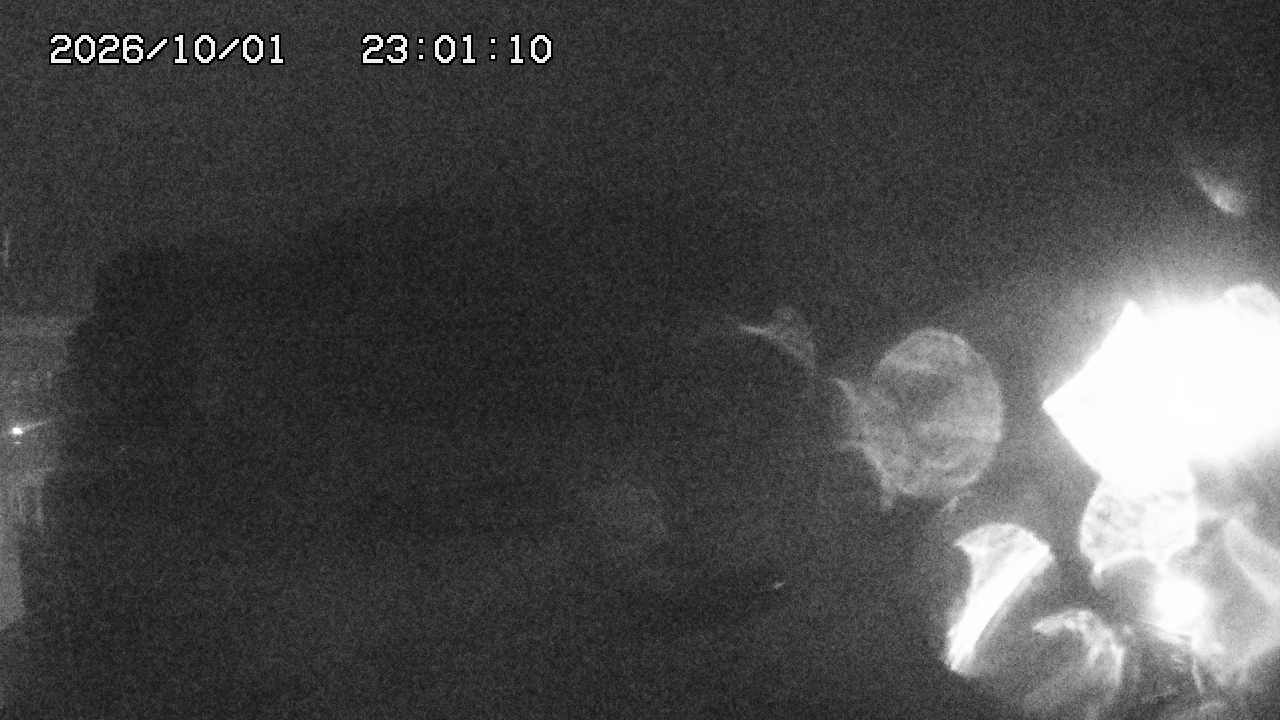 Gala Yuzawa Central Area [Melody Course] snow cam captured at 1 October 2026 at 11:31 pm GMT+9