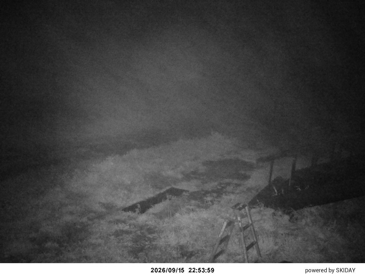 Suginohara archive representative frame captured at 16 September 2026 at 1:01 am AEST