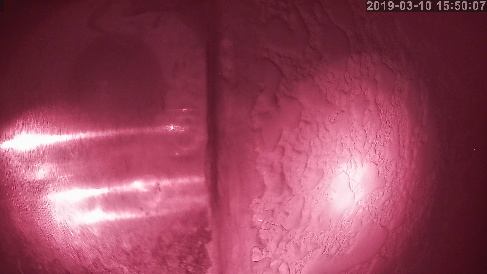 Tainai Cam snow cam captured at 19 September 2026 at 11:39 pm GMT+9