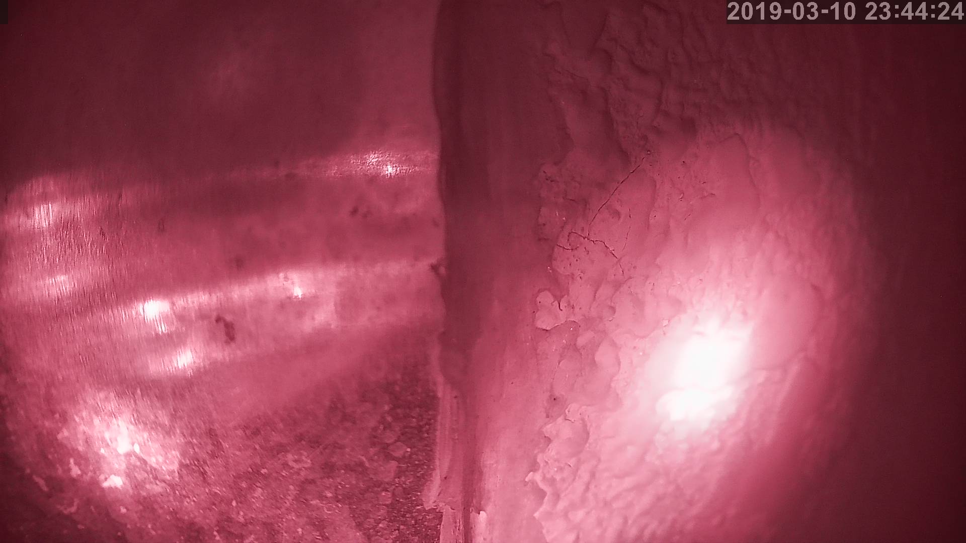 Tainai Cam snow cam captured at 21 September 2026 at 11:46 pm GMT+9