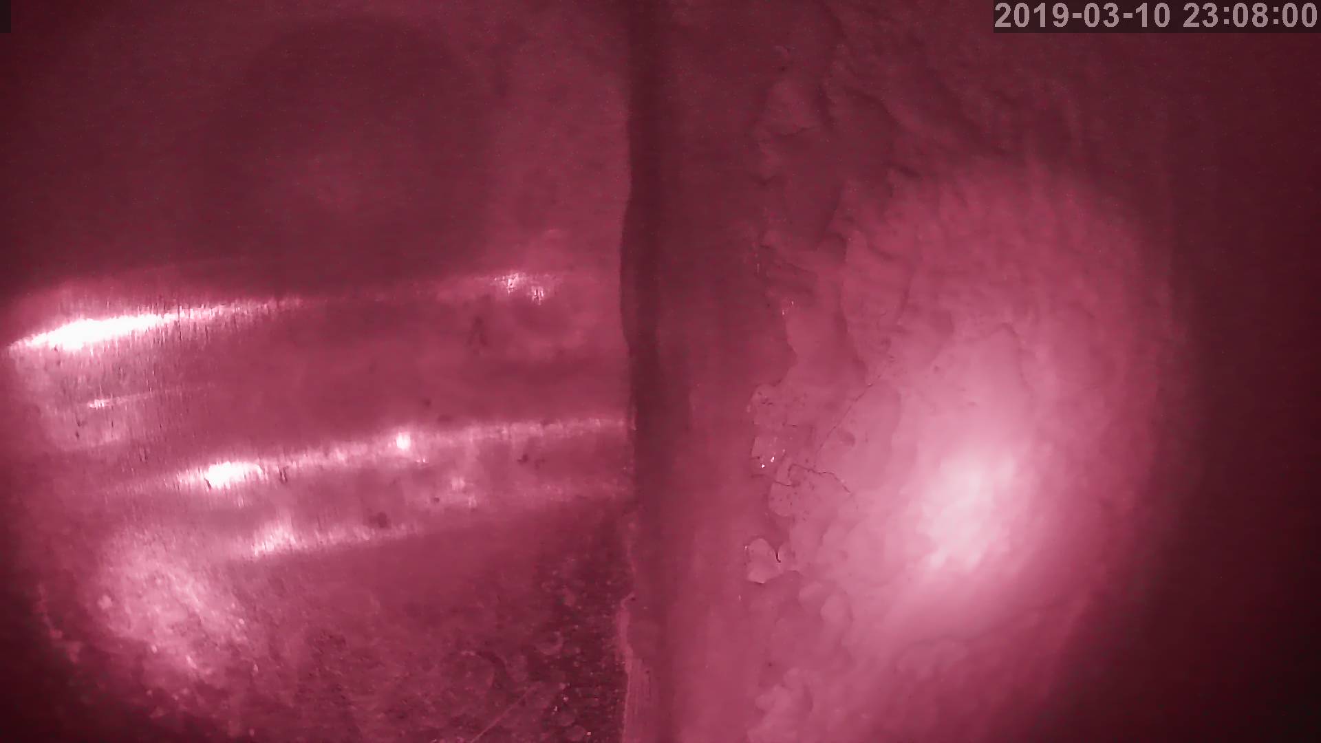 Tainai Cam snow cam captured at 22 September 2026 at 11:09 pm GMT+9
