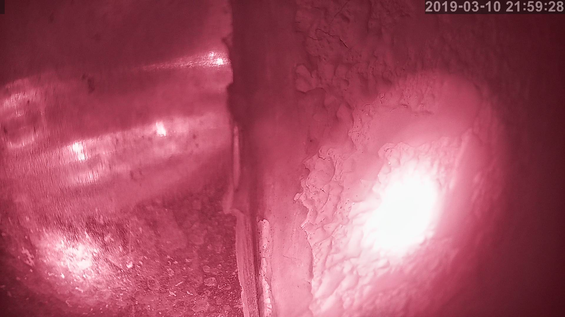 Tainai Cam snow cam captured at 23 September 2026 at 11:34 pm GMT+9