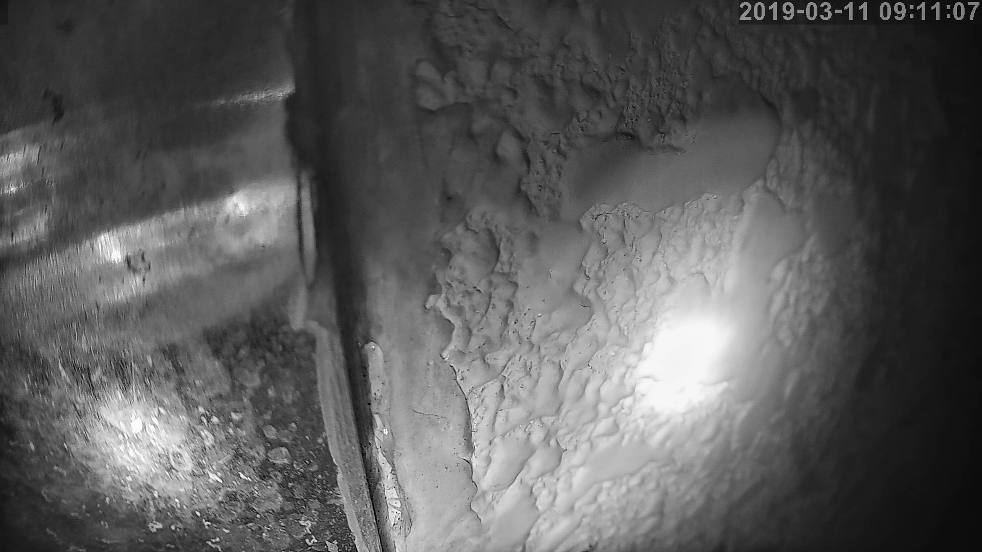 Tainai Cam snow cam captured at 25 September 2026 at 11:41 pm GMT+9