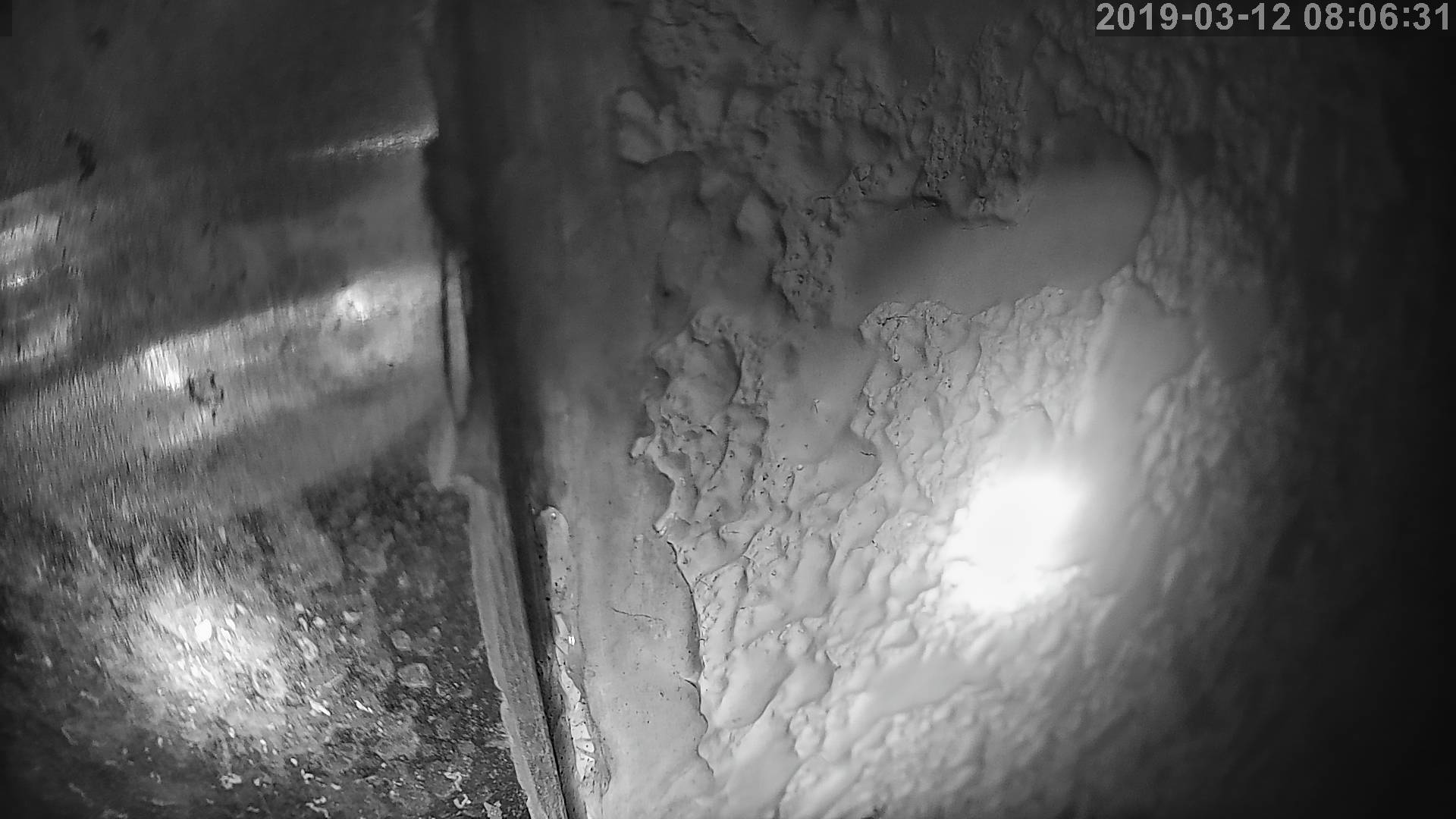Tainai Cam snow cam captured at 26 September 2026 at 11:04 pm GMT+9
