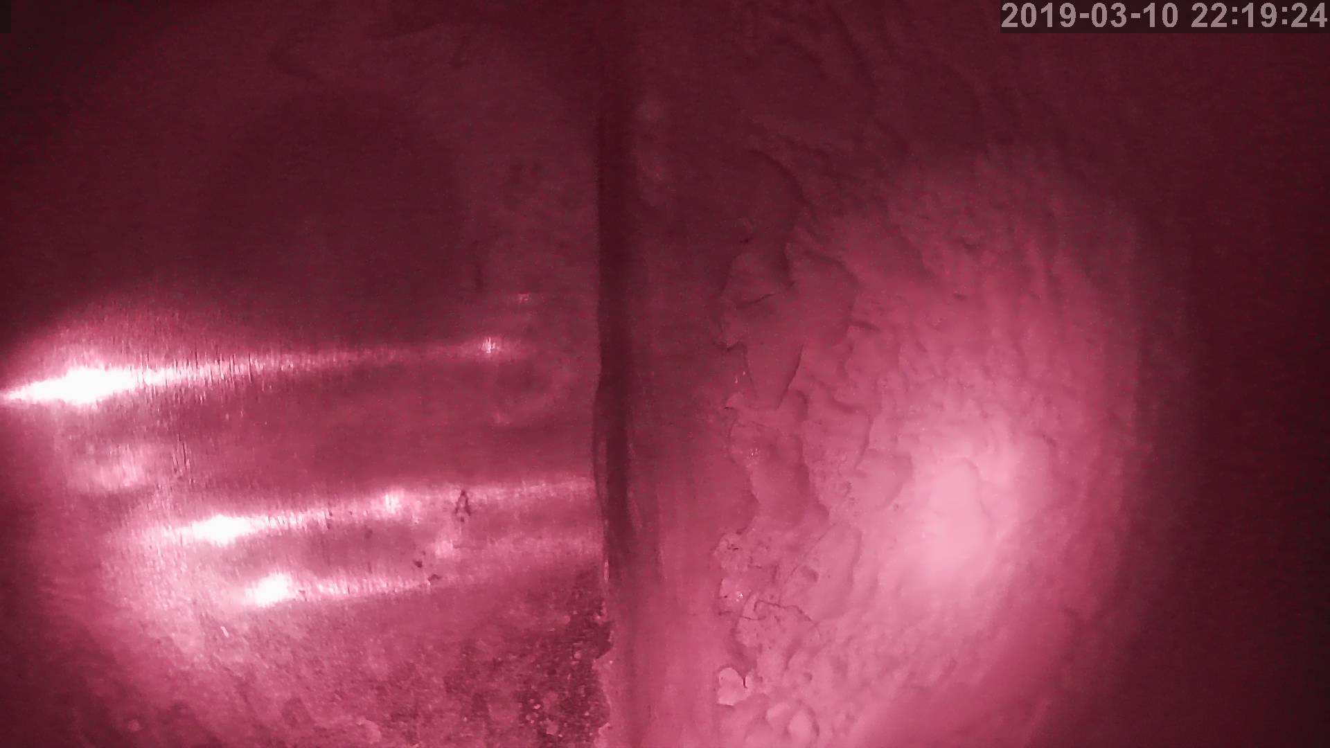Tainai Cam snow cam captured at 27 September 2026 at 11:39 pm GMT+9