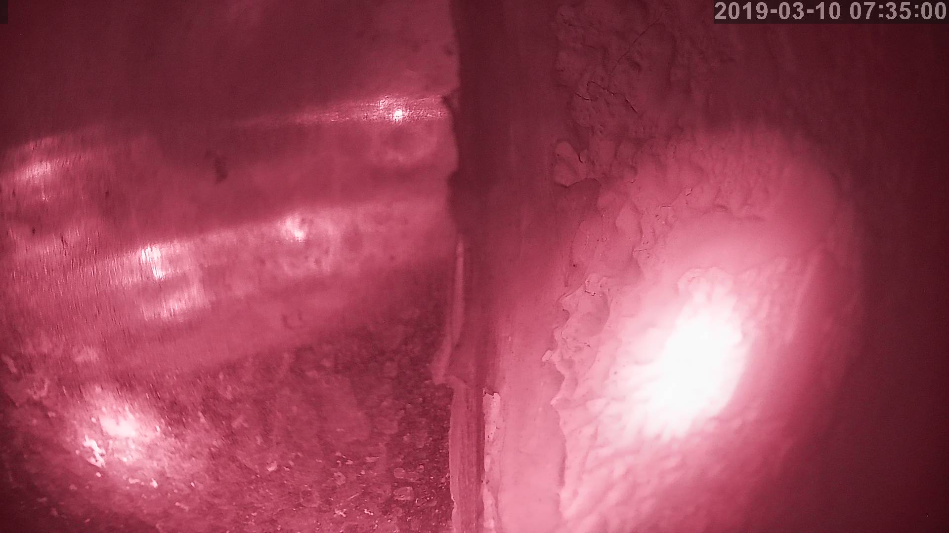 Tainai Cam snow cam captured at 28 September 2026 at 11:05 pm GMT+9