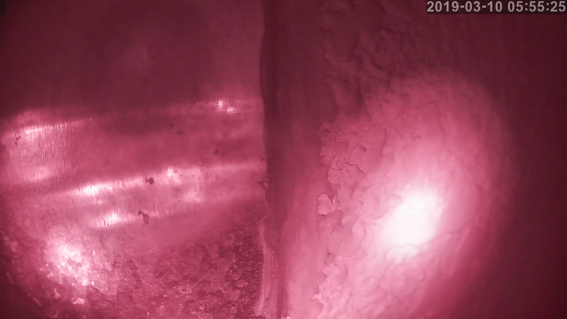 Tainai Cam snow cam captured at 29 September 2026 at 10:58 pm GMT+9