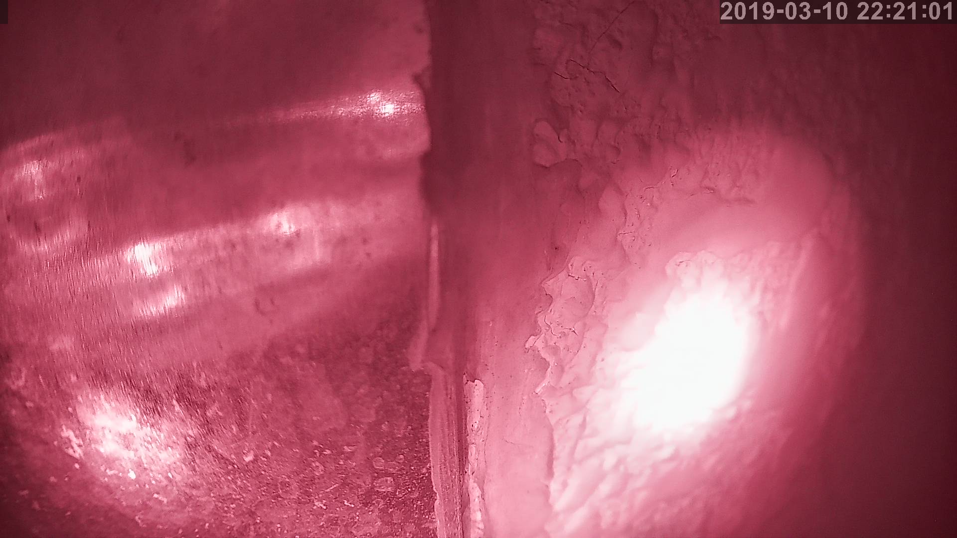 Tainai Cam snow cam captured at 1 October 2026 at 11:31 pm GMT+9