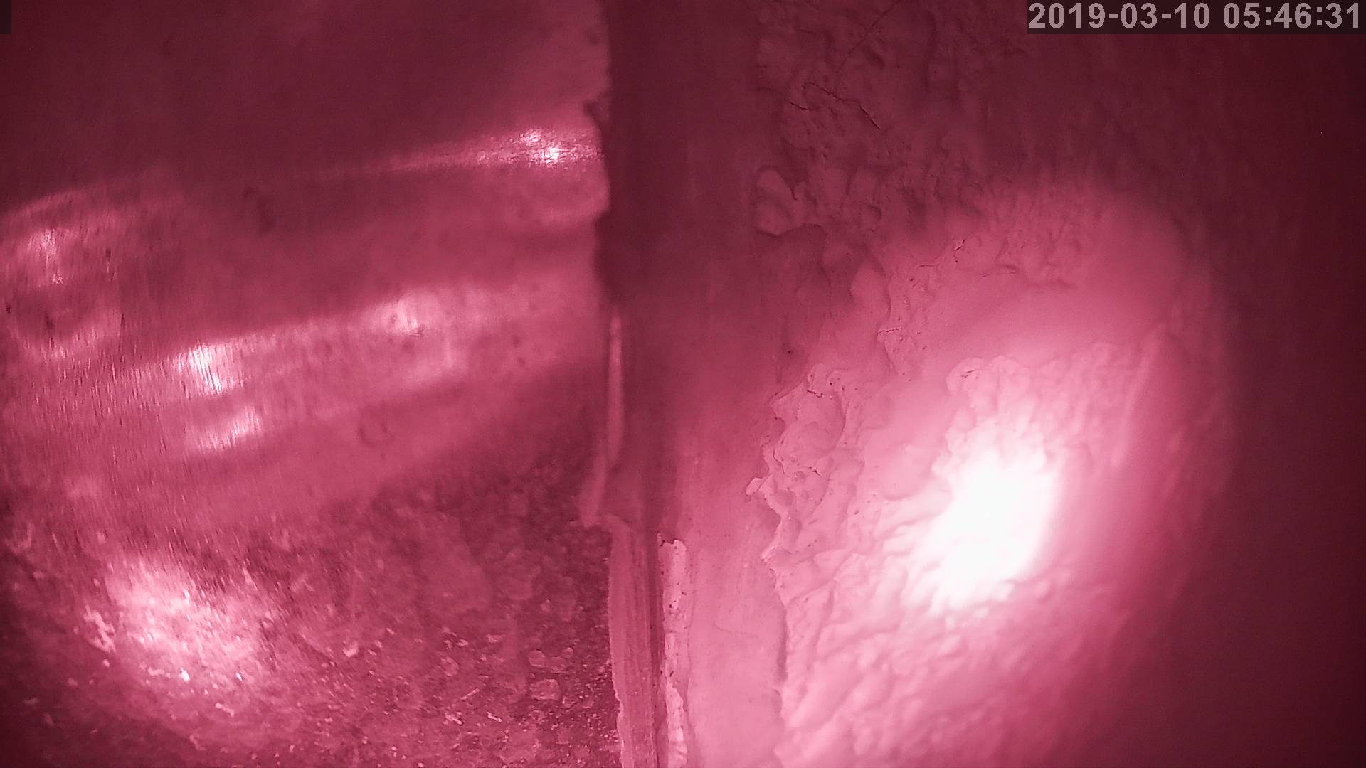 Tainai Cam snow cam captured at 2 October 2026 at 11:38 pm GMT+9