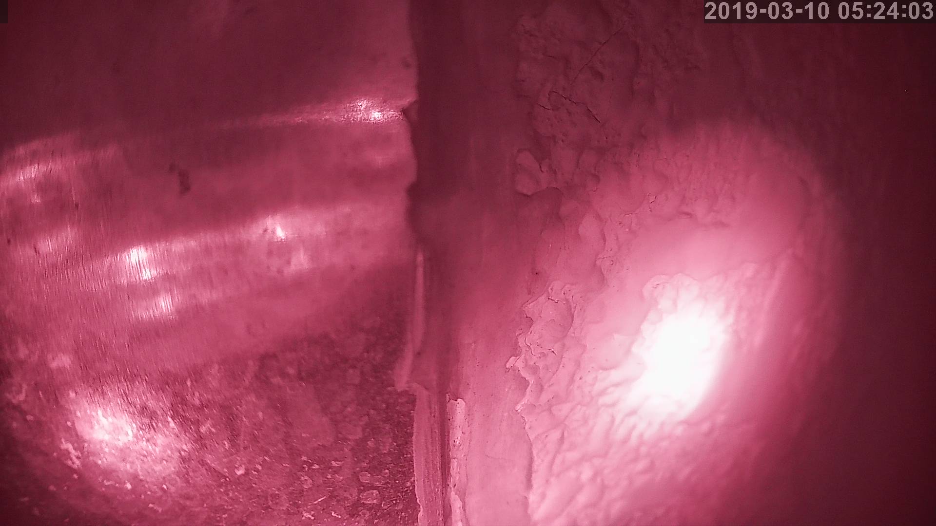 Tainai Cam snow cam captured at 4 October 2026 at 11:13 pm GMT+9