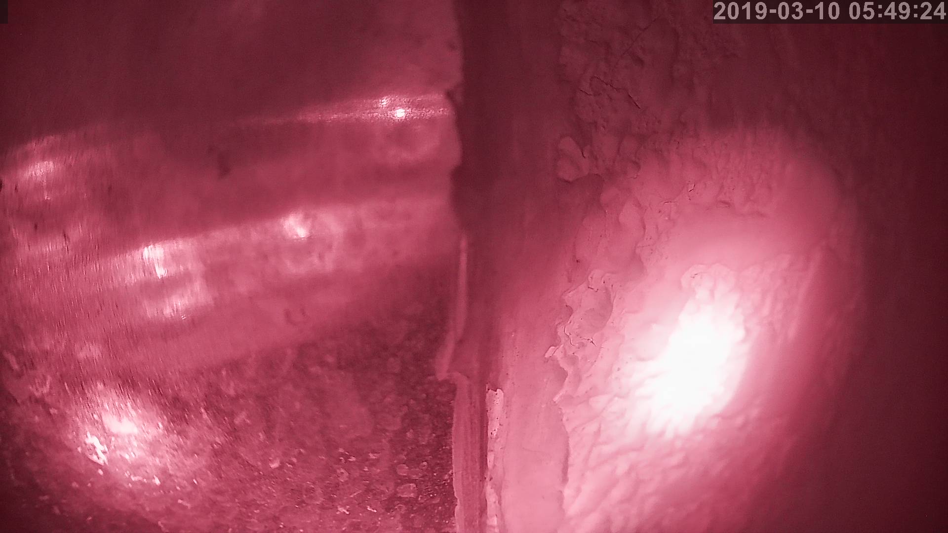 Tainai Cam snow cam captured at 5 October 2026 at 11:46 pm GMT+9