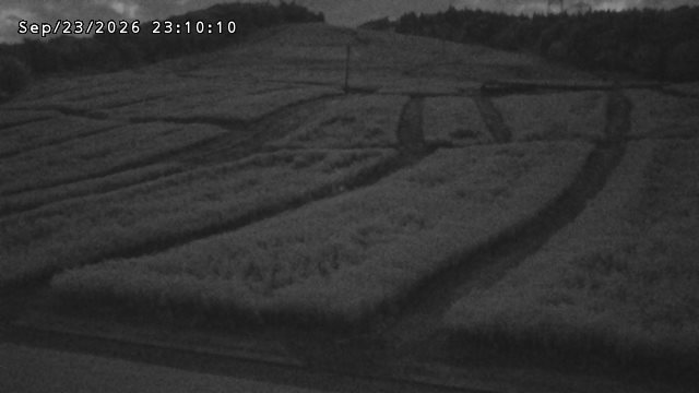 Tonami Front Slope snow cam captured at 23 September 2026 at 11:35 pm GMT+9