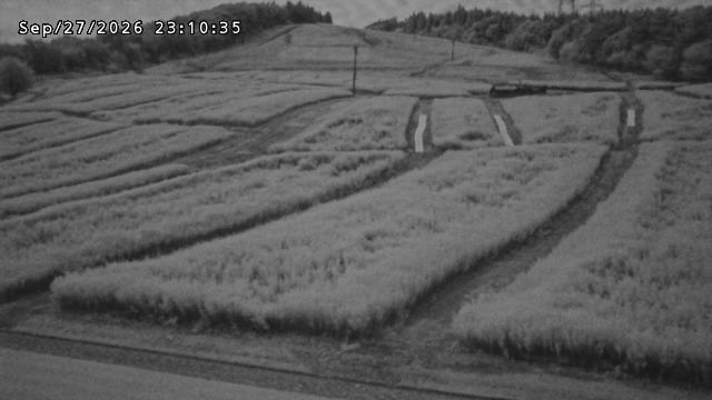 Tonami Front Slope snow cam captured at 27 September 2026 at 11:39 pm GMT+9