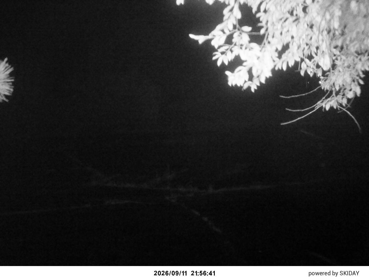 Chateraise Nobeyama Chateraise snow cam captured at 11 September 2026 at 11:01 pm GMT+9