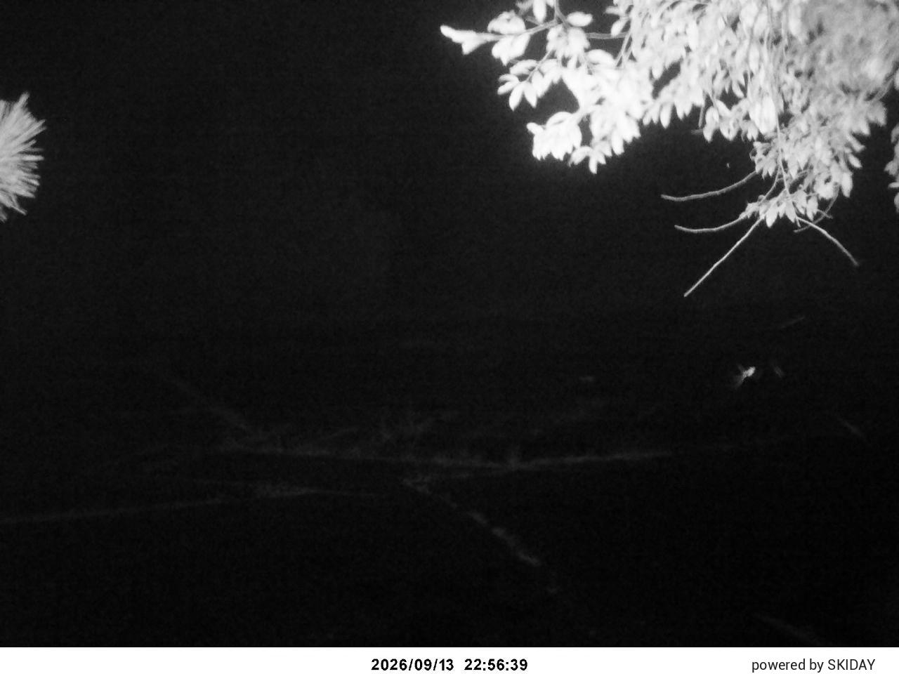 Chateraise Nobeyama Chateraise snow cam captured at 13 September 2026 at 11:49 pm GMT+9