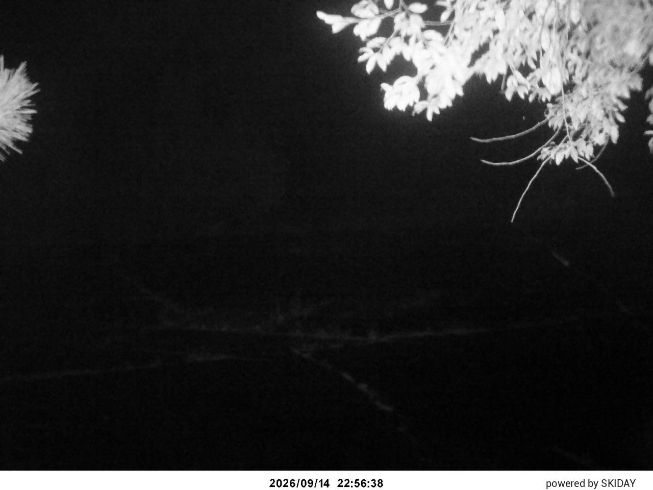 Chateraise Nobeyama Chateraise snow cam captured at 14 September 2026 at 11:30 pm GMT+9