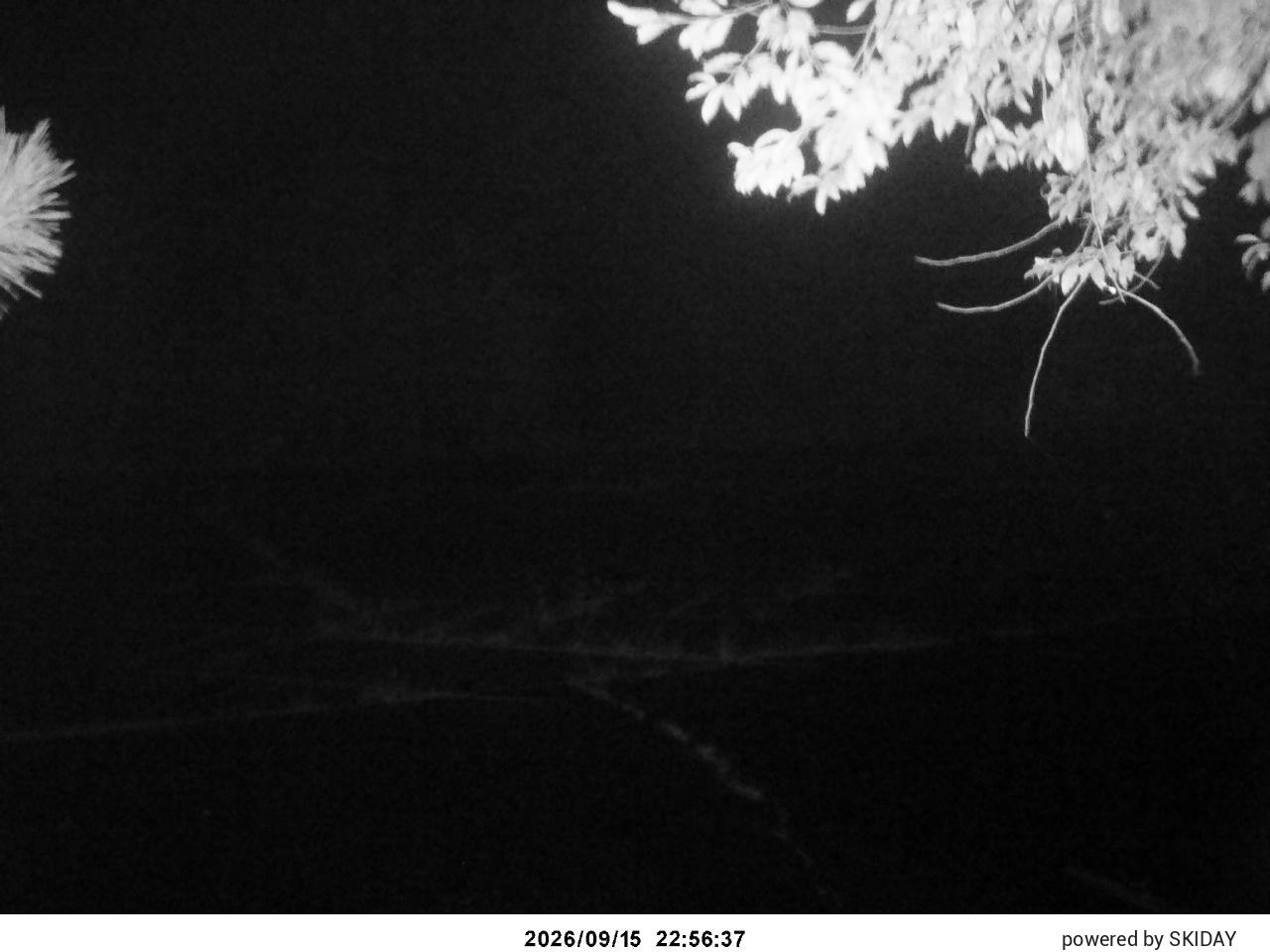 Chateraise Nobeyama Chateraise snow cam captured at 15 September 2026 at 11:54 pm GMT+9