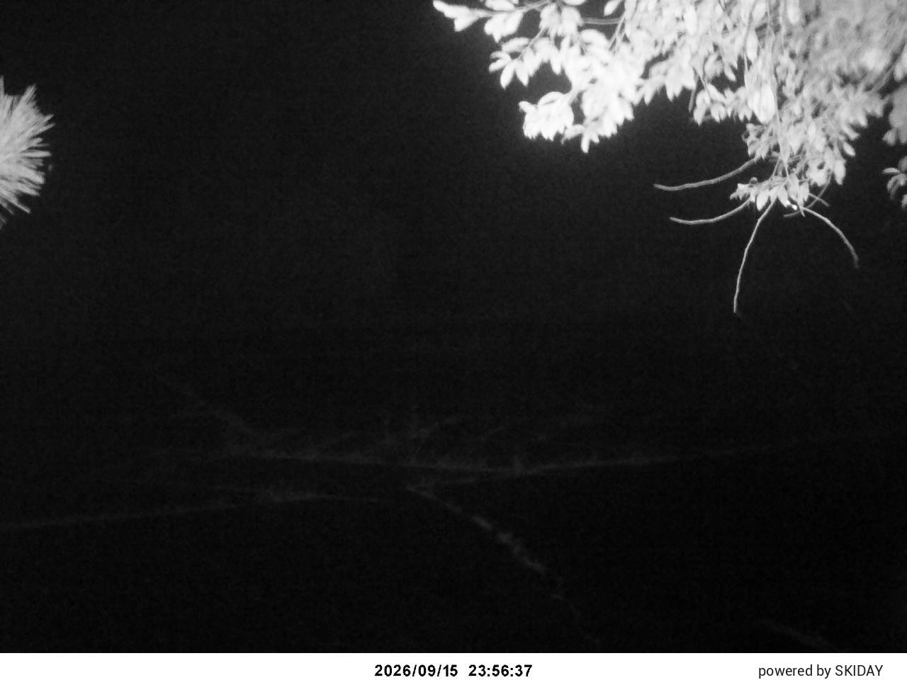Chateraise Nobeyama archive representative frame captured at 16 September 2026 at 1:55 am AEST