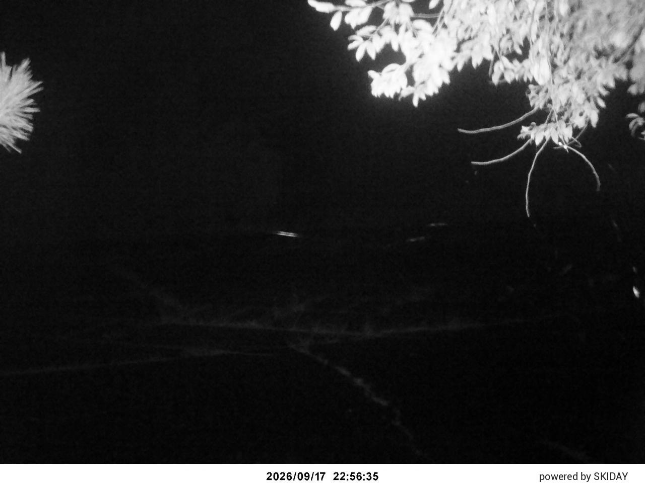 Chateraise Nobeyama Chateraise snow cam captured at 17 September 2026 at 11:41 pm GMT+9