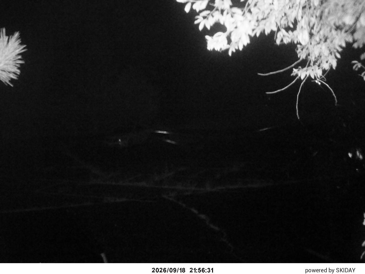 Chateraise Nobeyama Chateraise snow cam captured at 18 September 2026 at 11:04 pm GMT+9