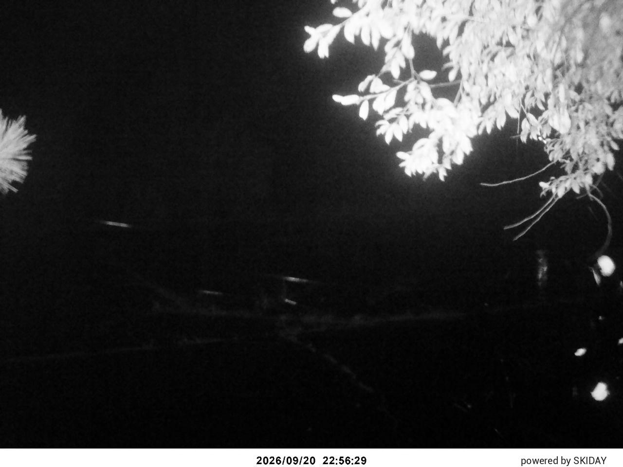 Chateraise Nobeyama Chateraise snow cam captured at 20 September 2026 at 11:53 pm GMT+9