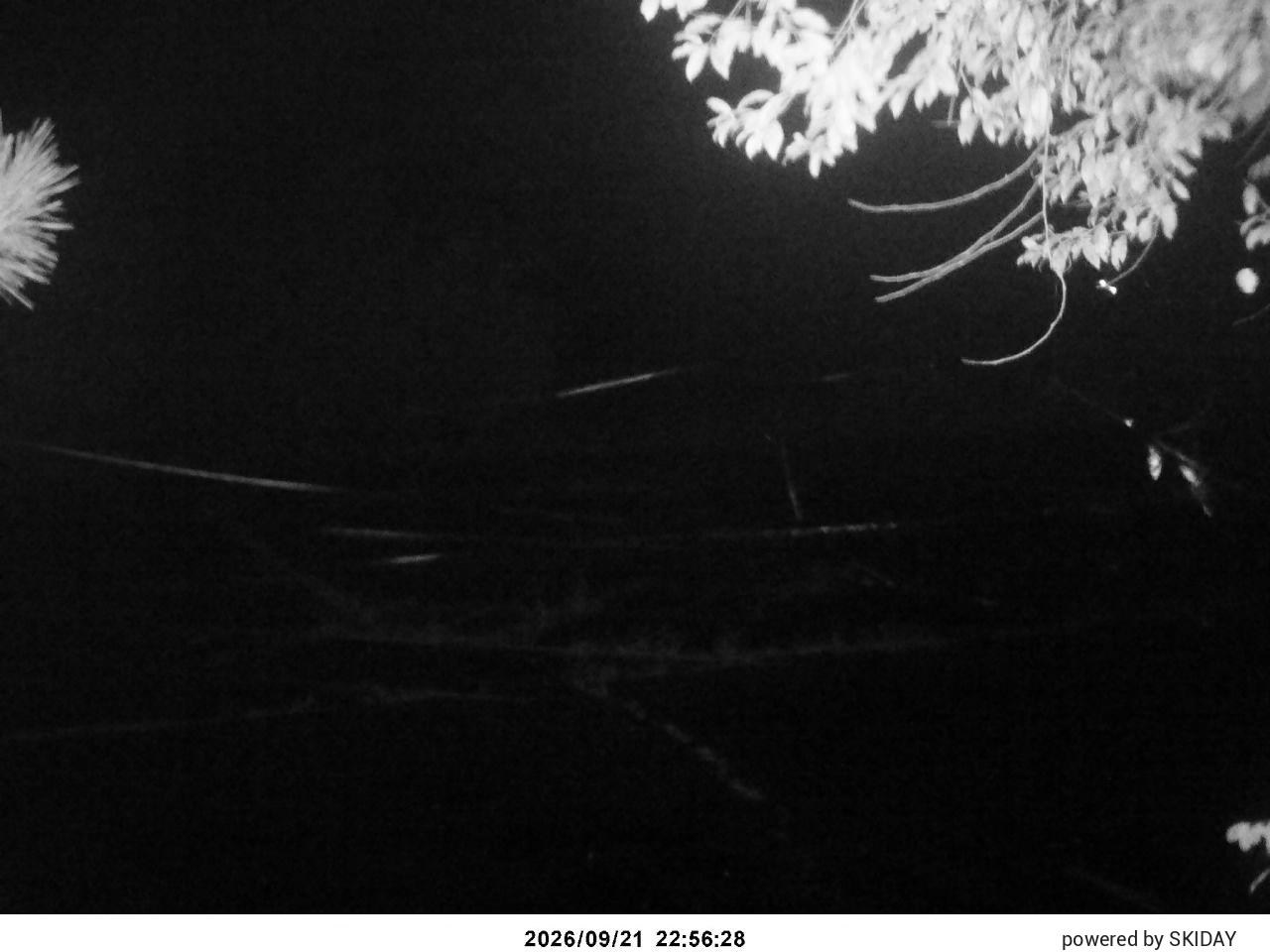 Chateraise Nobeyama Chateraise snow cam captured at 21 September 2026 at 11:16 pm GMT+9