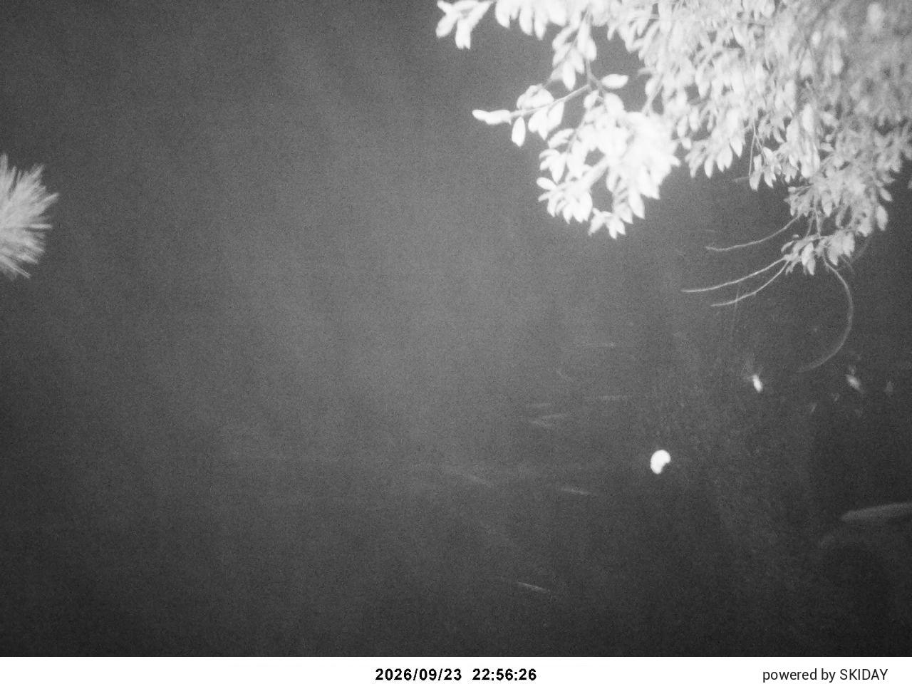 Chateraise Nobeyama Chateraise snow cam captured at 23 September 2026 at 11:13 pm GMT+9