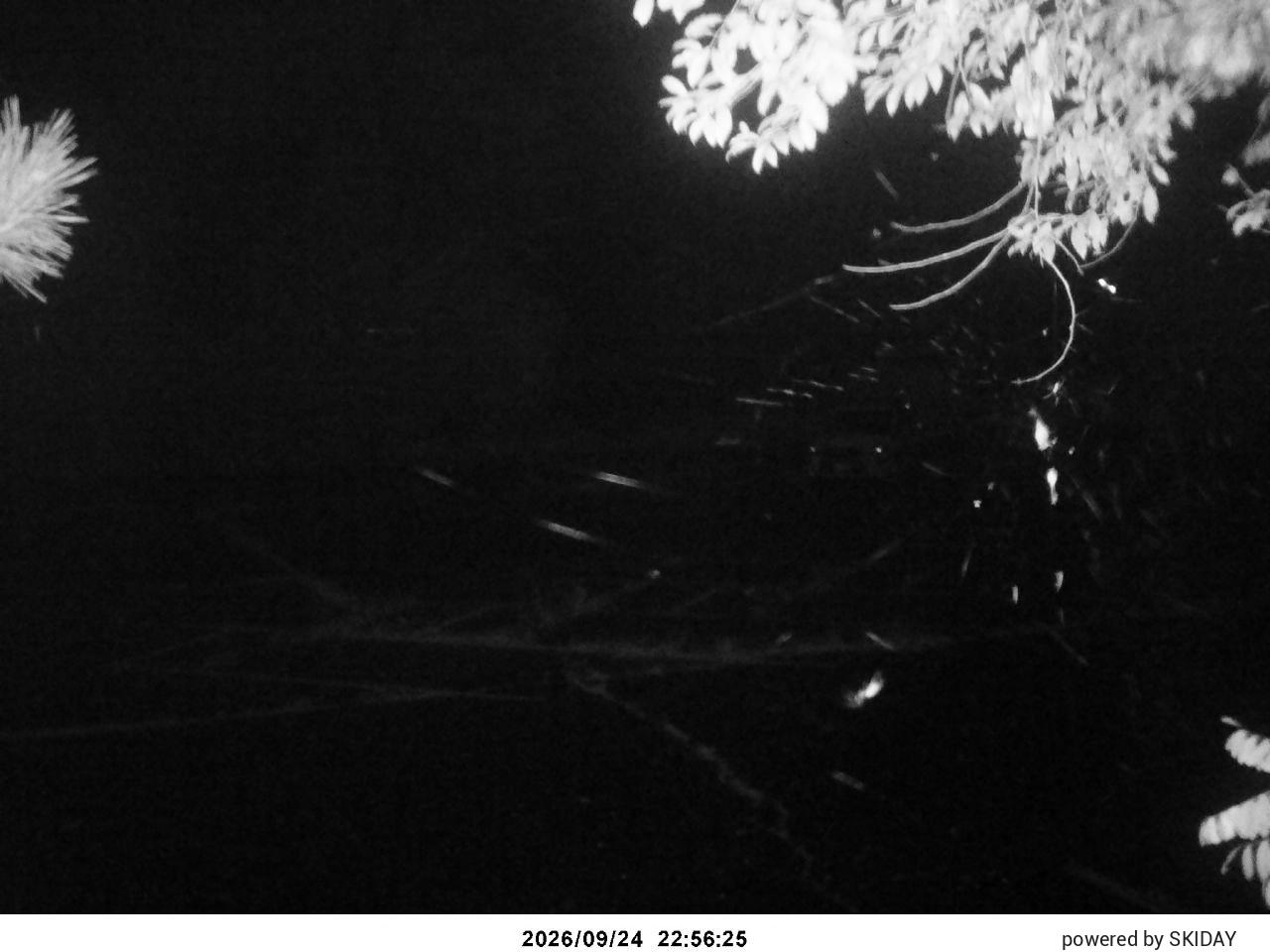 Chateraise Nobeyama Chateraise snow cam captured at 24 September 2026 at 11:37 pm GMT+9