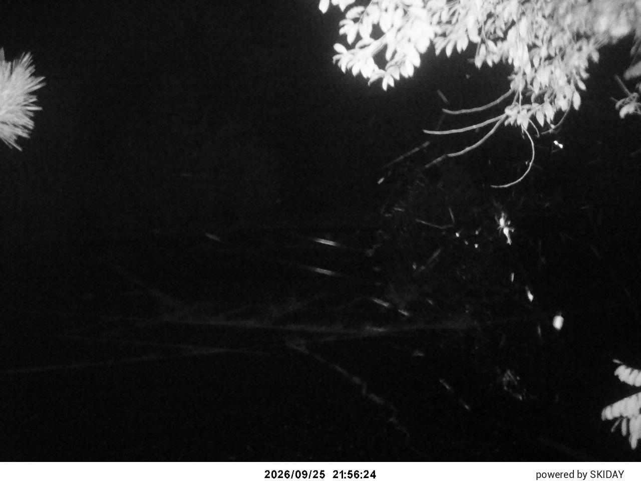 Chateraise Nobeyama Chateraise snow cam captured at 25 September 2026 at 11:00 pm GMT+9