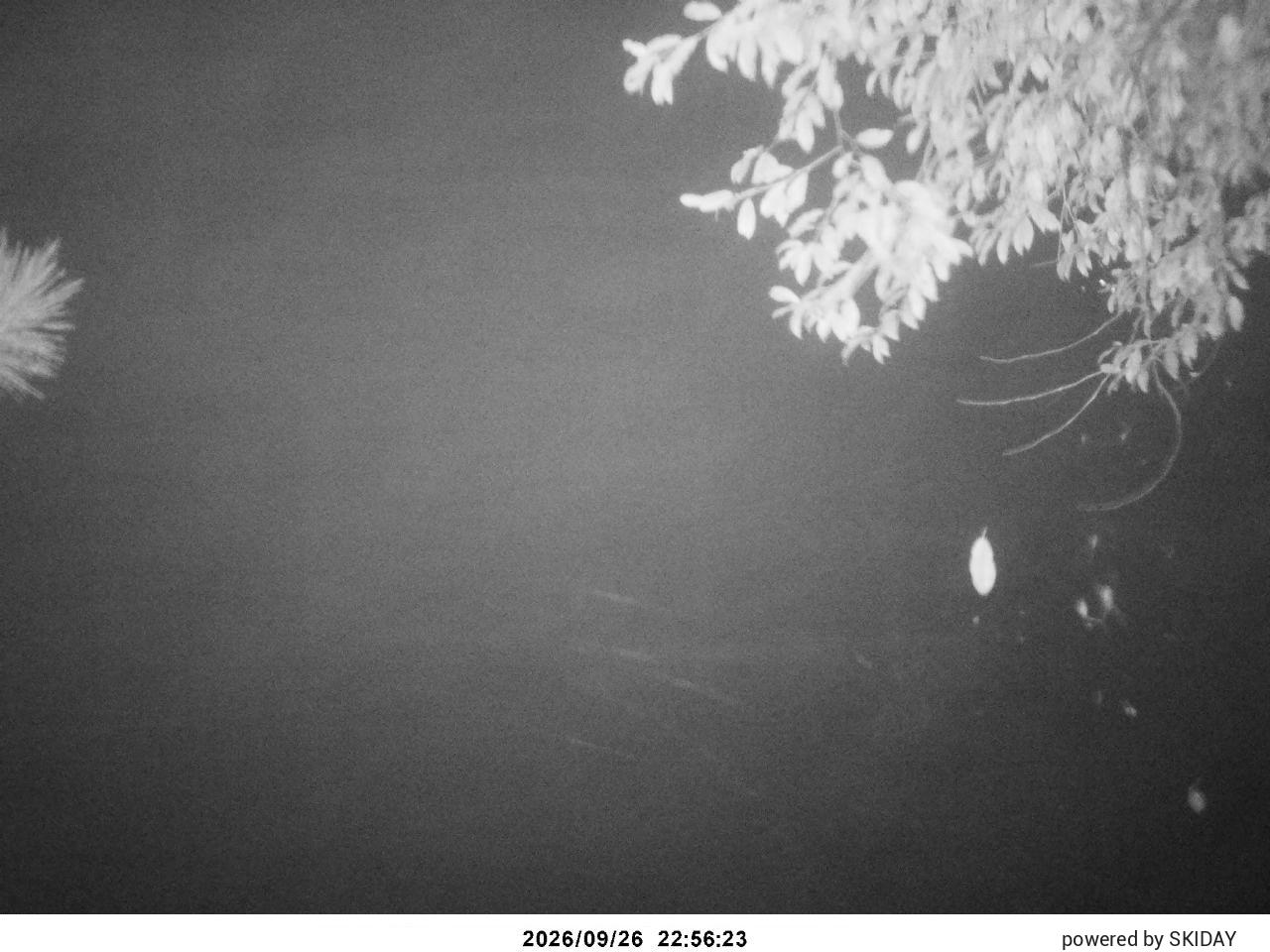Chateraise Nobeyama Chateraise snow cam captured at 26 September 2026 at 11:23 pm GMT+9