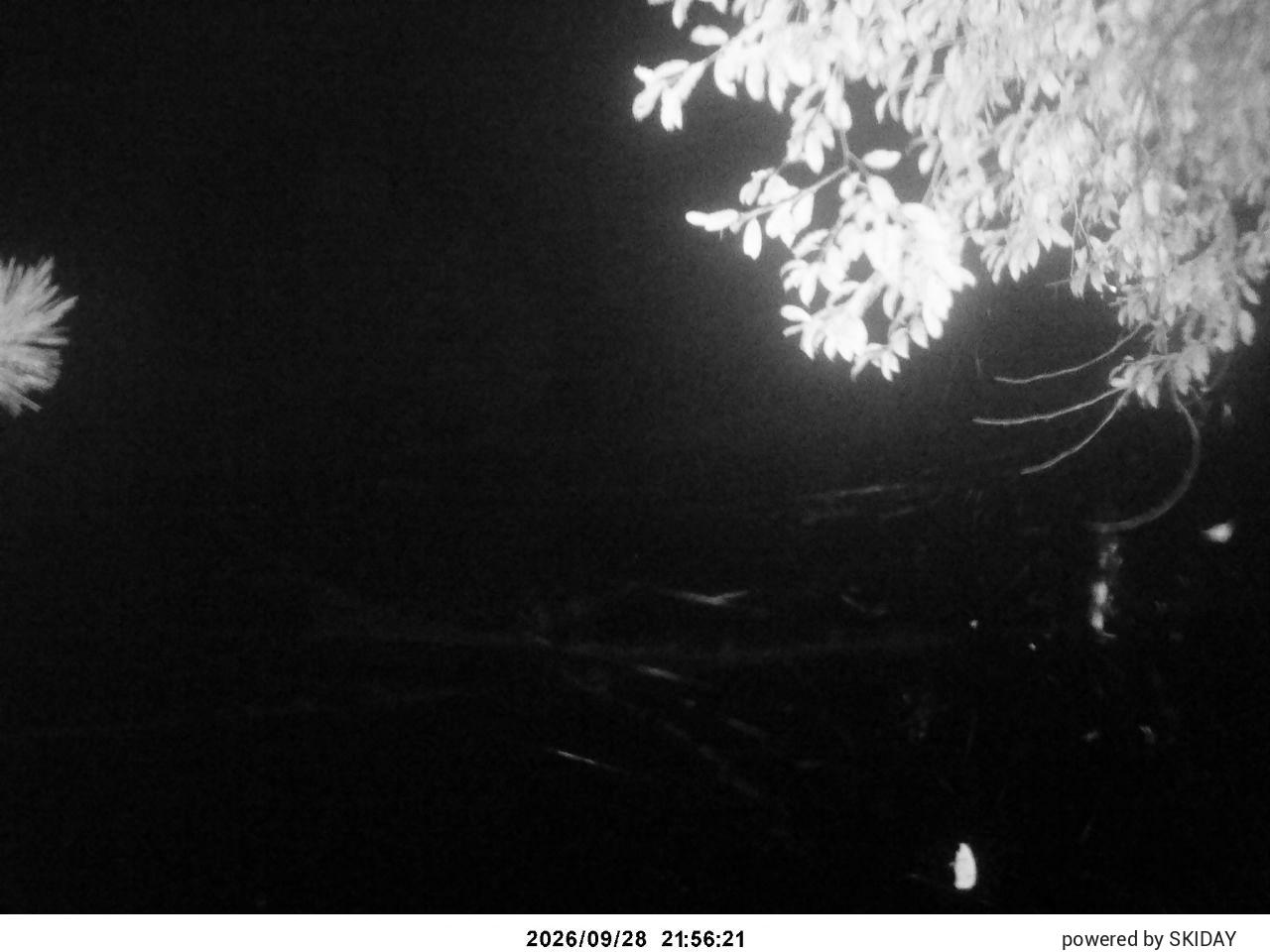 Chateraise Nobeyama Chateraise snow cam captured at 28 September 2026 at 10:59 pm GMT+9