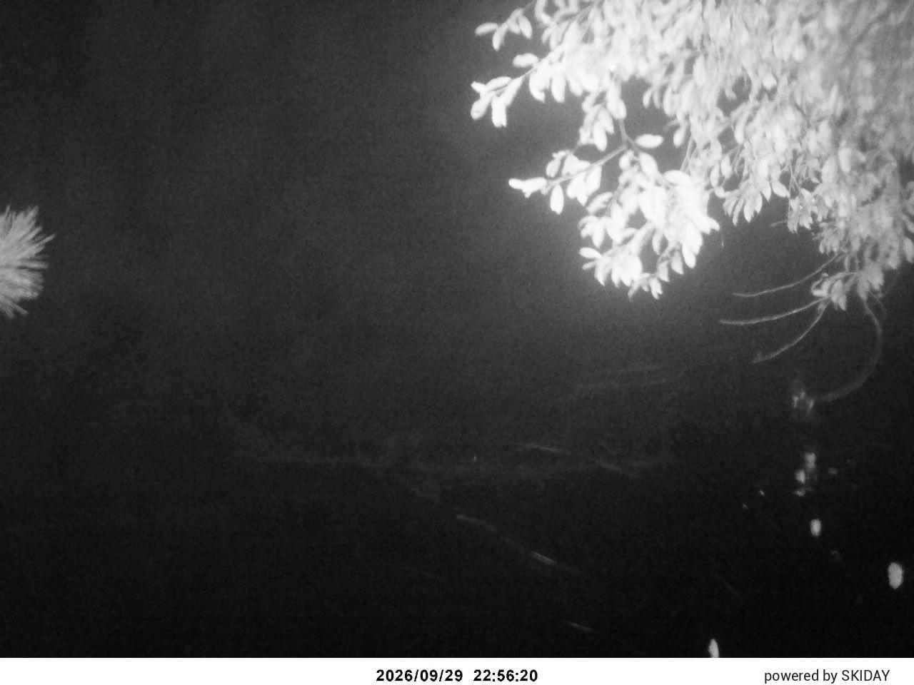 Chateraise Nobeyama Chateraise snow cam captured at 29 September 2026 at 11:59 pm GMT+9