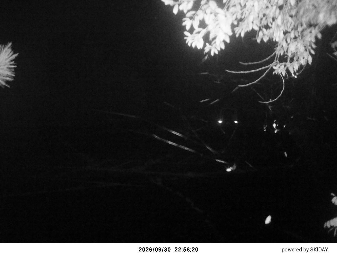 Chateraise Nobeyama Chateraise snow cam captured at 30 September 2026 at 11:31 pm GMT+9