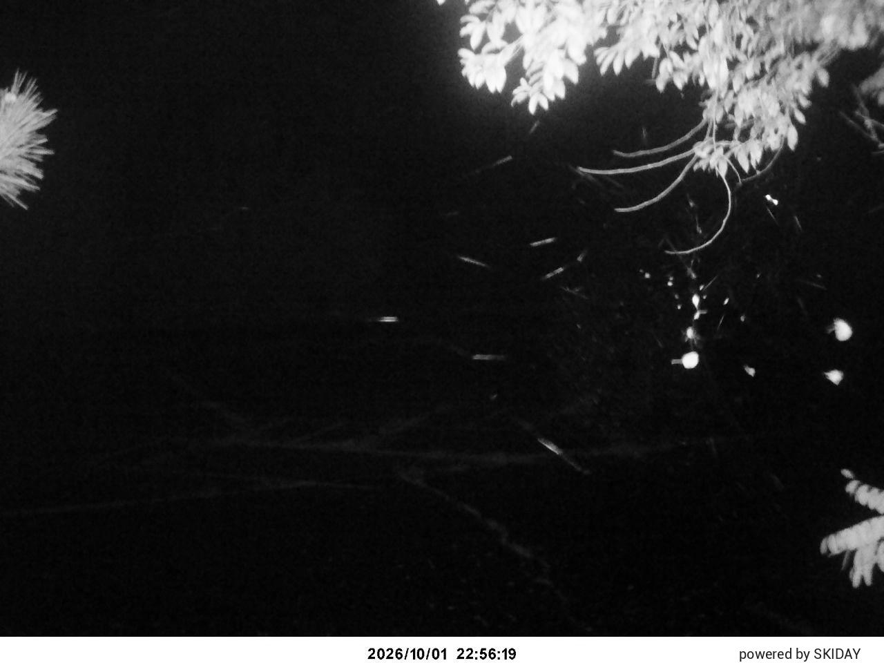 Chateraise Nobeyama Chateraise snow cam captured at 1 October 2026 at 11:09 pm GMT+9