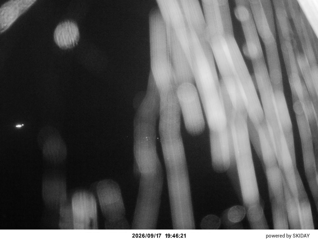 Hakuba Cortina Kurokawa Lookout snow cam captured at 17 September 2026 at 8:39 pm GMT+9