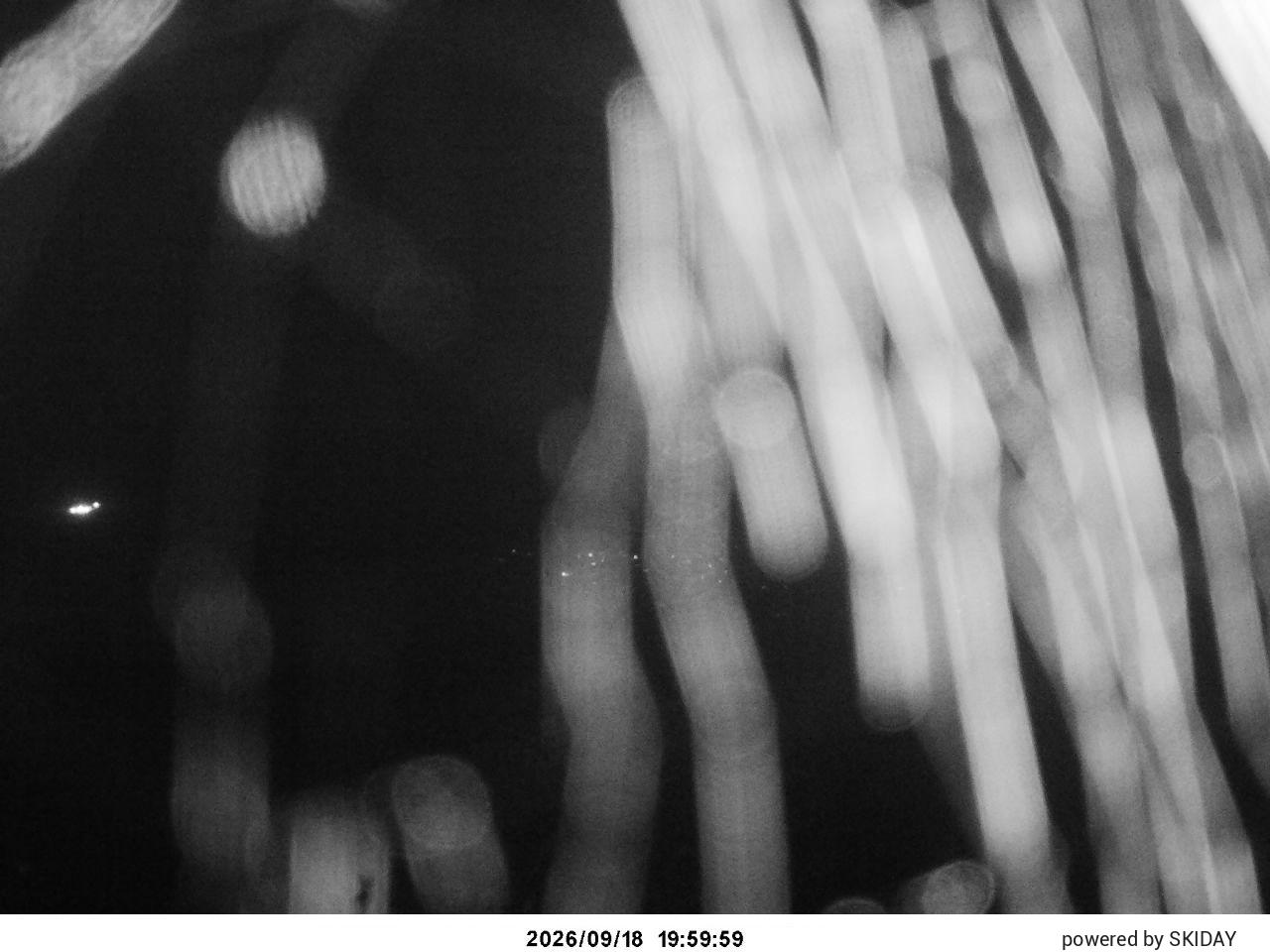 Hakuba Cortina Kurokawa Lookout snow cam captured at 18 September 2026 at 9:03 pm GMT+9