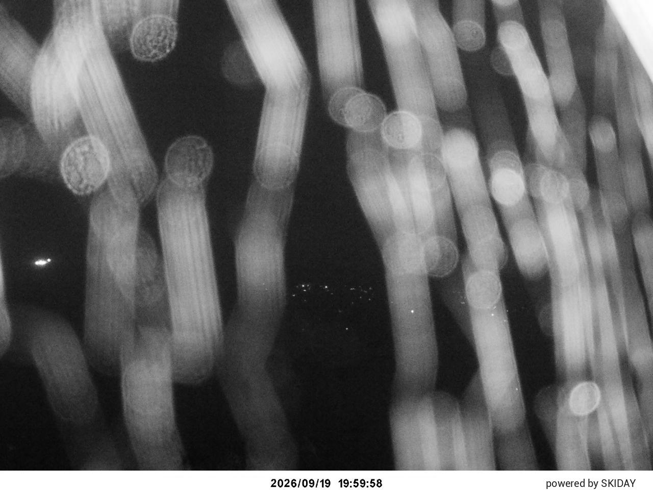 Hakuba Cortina Kurokawa Lookout snow cam captured at 19 September 2026 at 8:27 pm GMT+9