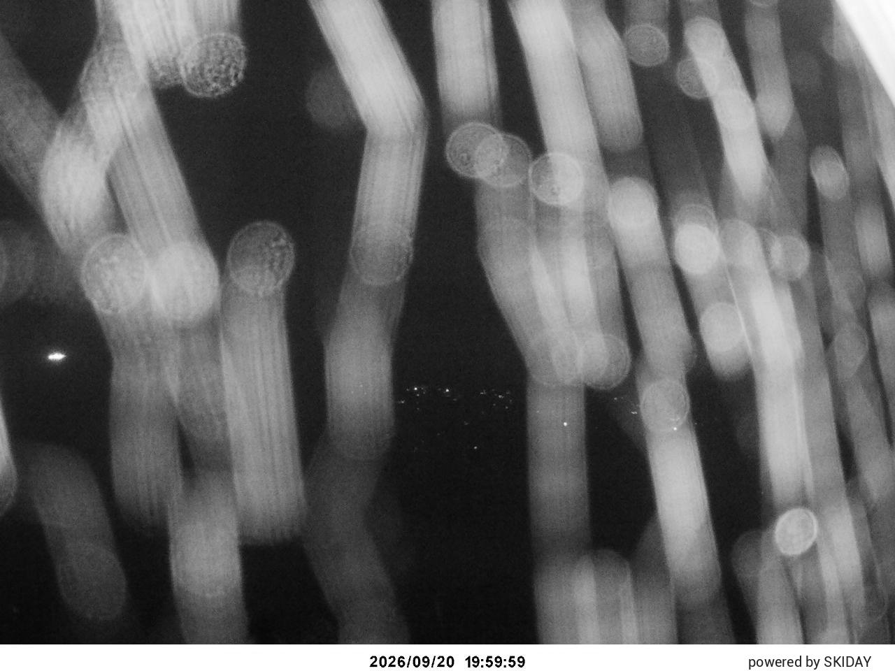 Hakuba Cortina Kurokawa Lookout snow cam captured at 20 September 2026 at 8:50 pm GMT+9