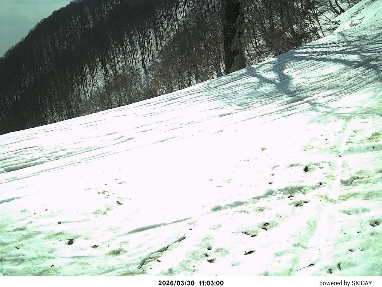 Hakuba Cortina Snowfall Gauge snow cam captured at 10 September 2026 at 11:34 pm GMT+9