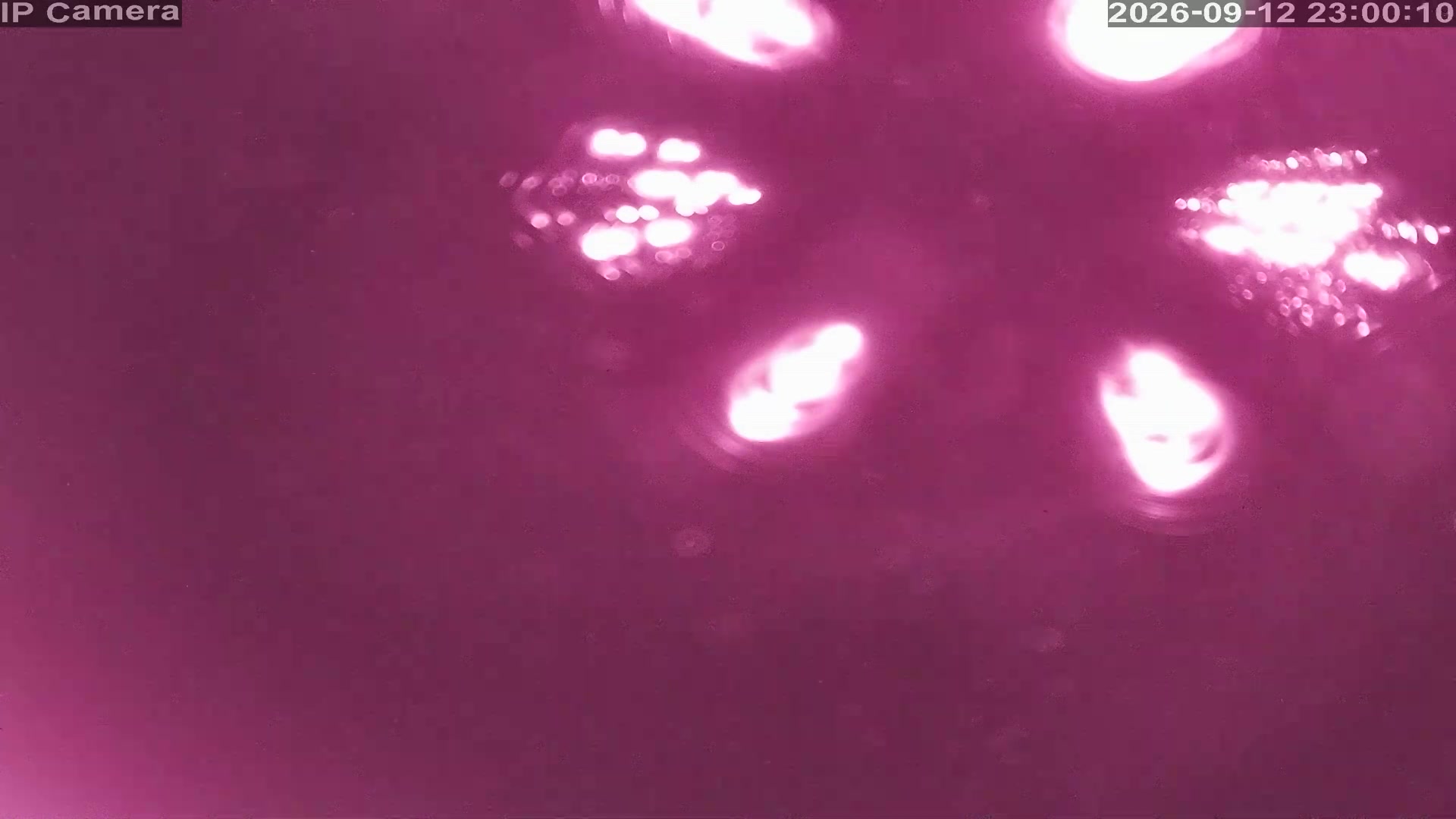 Happo-one Alpen Quad · 1,678m snow cam captured at 12 September 2026 at 11:26 pm GMT+9