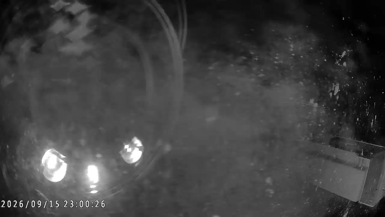 Happo-one archive representative frame captured at 16 September 2026 at 12:56 am AEST