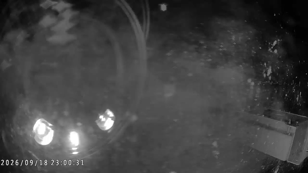 Happo-one Gondola Boarding Area snow cam captured at 18 September 2026 at 11:05 pm GMT+9