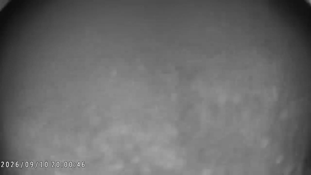 Happo-one Usagidaira Slope Live Camera snow cam captured at 10 September 2026 at 11:34 pm GMT+9
