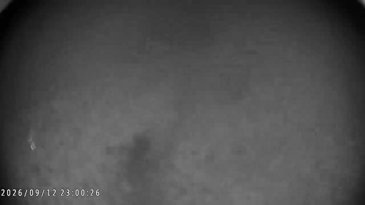 Happo-one Usagidaira Slope Live Camera snow cam captured at 12 September 2026 at 11:26 pm GMT+9