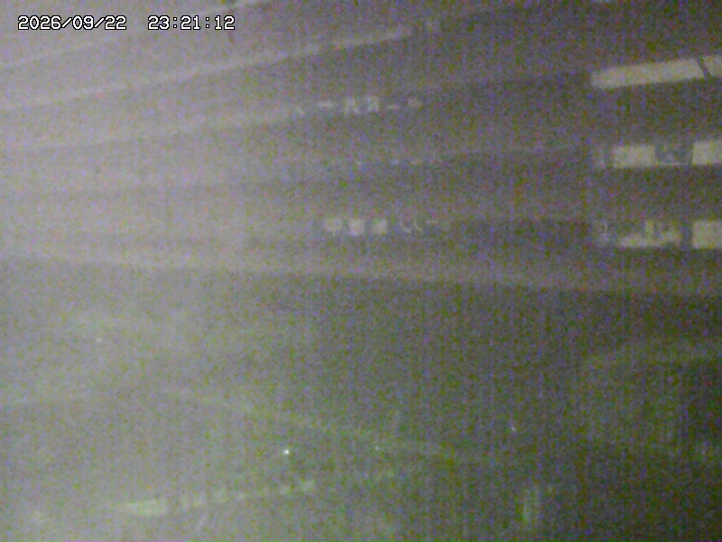 Iizuna Cam1 snow cam captured at 22 September 2026 at 11:50 pm GMT+9