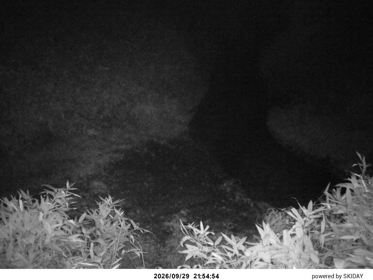Ina Cam1 snow cam captured at 29 September 2026 at 10:58 pm GMT+9