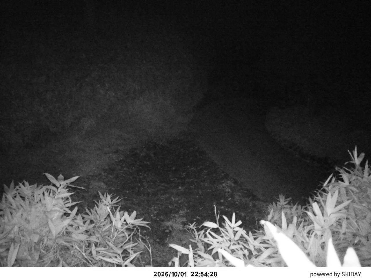 Ina Cam1 snow cam captured at 1 October 2026 at 11:47 pm GMT+9