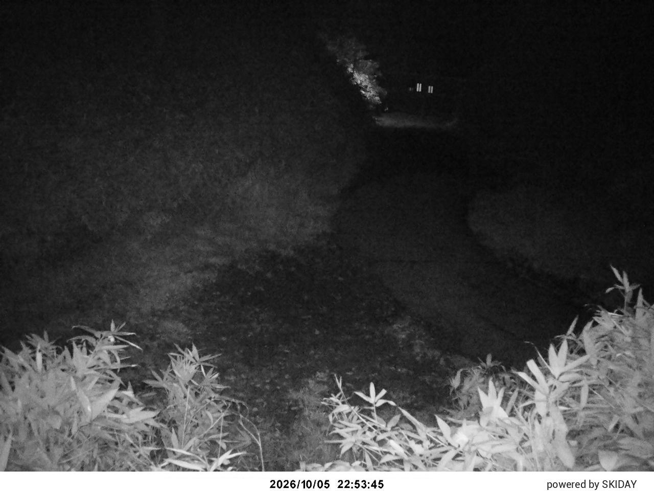 Ina Cam1 snow cam captured at 5 October 2026 at 11:56 pm GMT+9