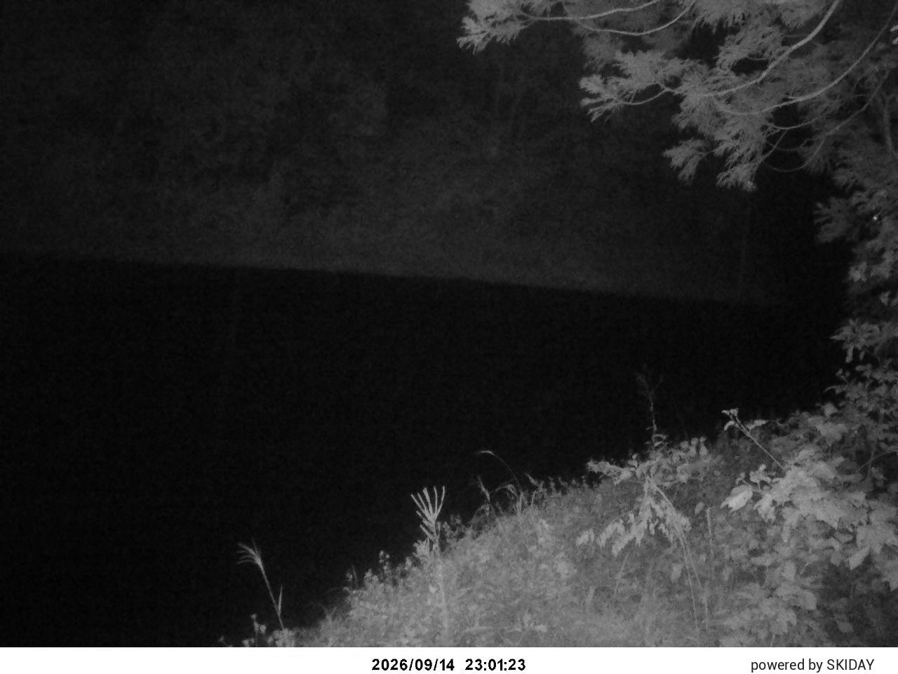 Karuizawa Prince D1 Prince Slope snow cam captured at 14 September 2026 at 11:31 pm GMT+9