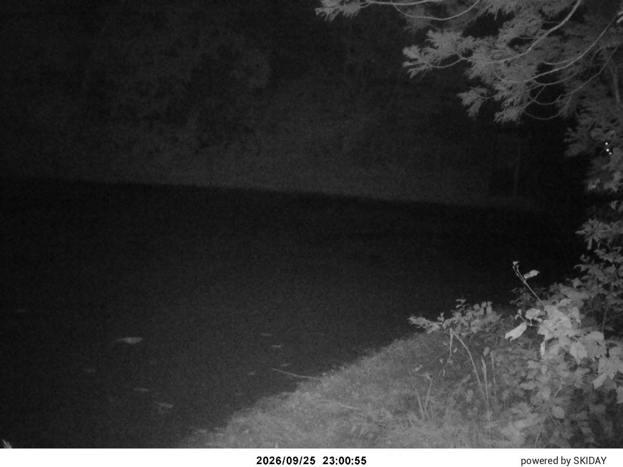 Karuizawa Prince D1 Prince Slope snow cam captured at 25 September 2026 at 11:13 pm GMT+9